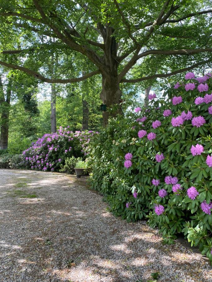 Bed And Breakfast Villa Beldershoek Hengelo  Εξωτερικό φωτογραφία